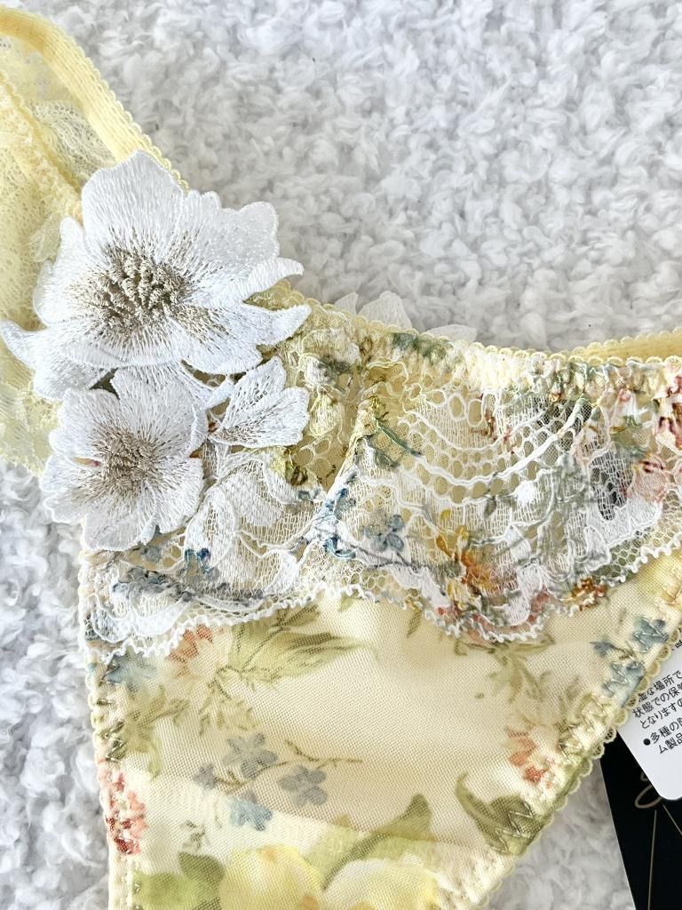 ☆【新品】 Wacoal Salute ワコールサルート ブラジャー＆ソング