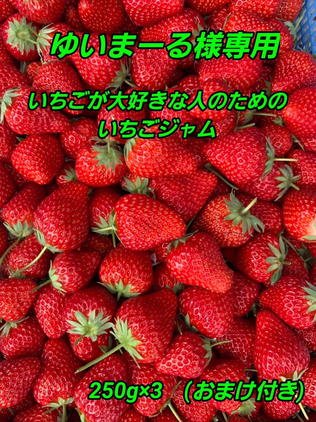 ゆいまーる様専用】いちごやさんが作る、いちごが大好きな人のための
