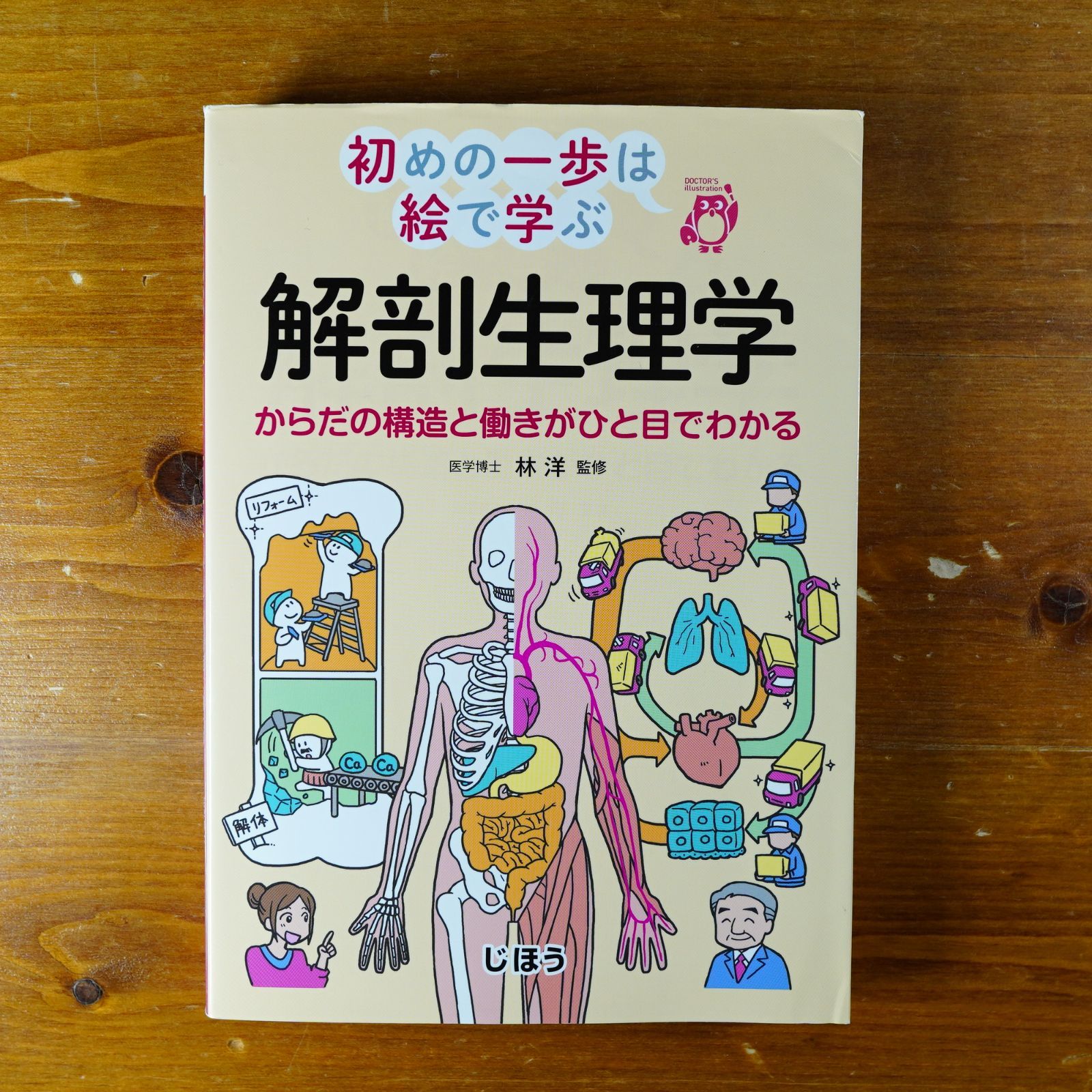 初めの一歩は絵で学ぶ 解剖生理学 からだの構造と働きがひと目でわかる