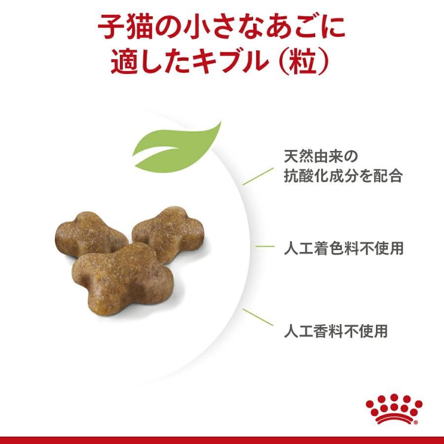 生後１２ヵ月齢まで