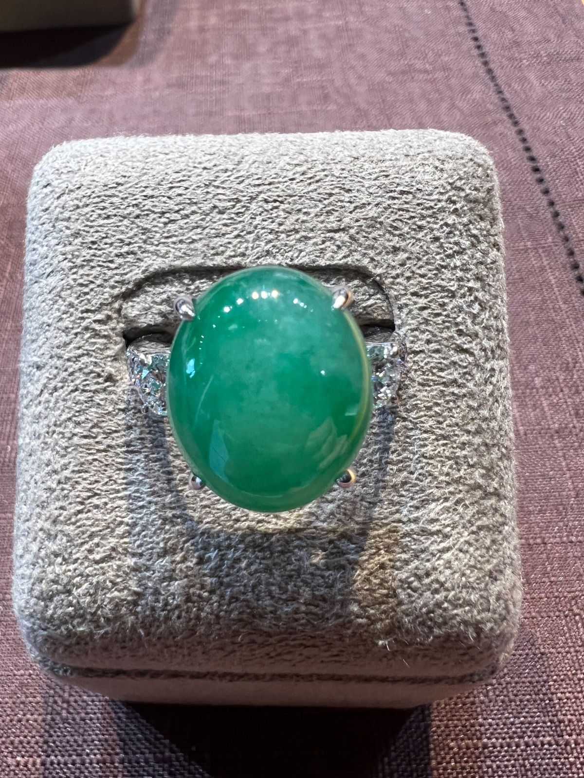 京都市/引取/配達可/ユッカ/観葉植物/サボテン/玄関/グリーン/ラン/蘭