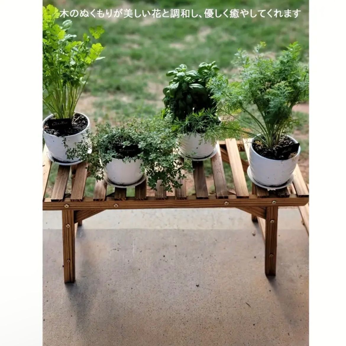 棚 植物台