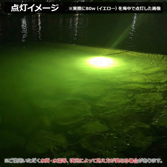 12V用 集魚ライト