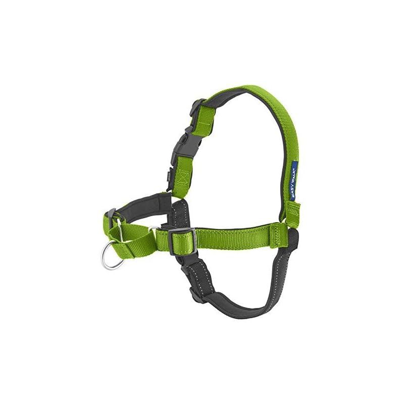PetSafe