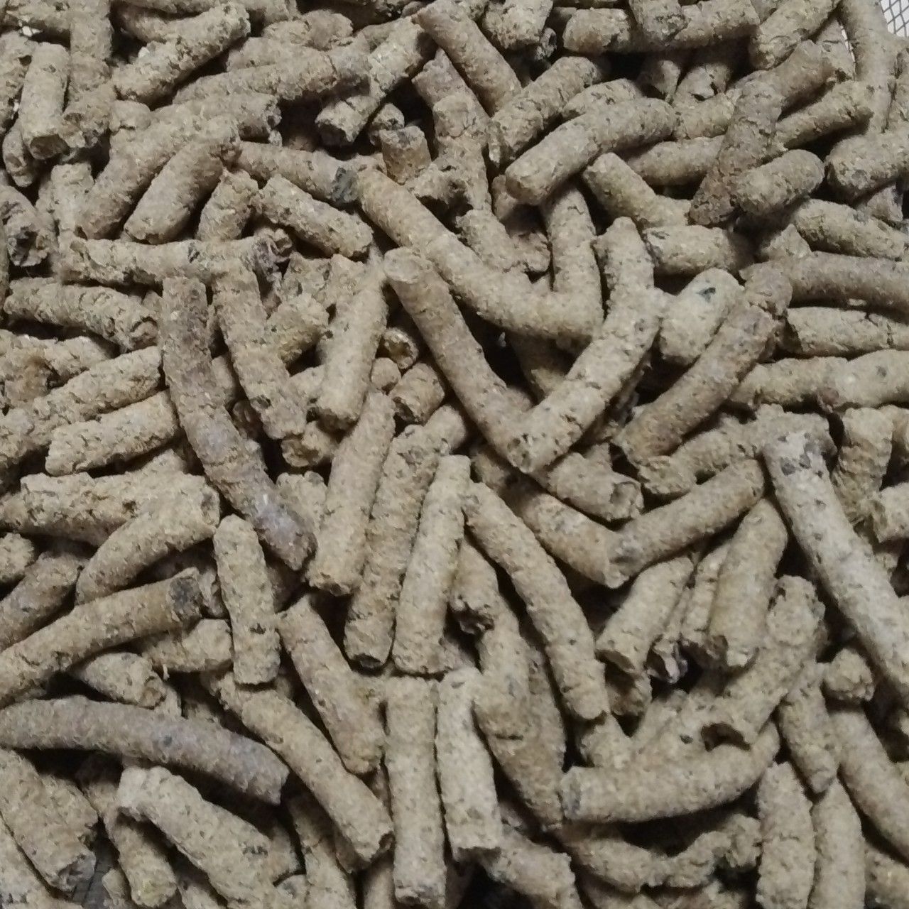 カムイピリカ6kg（3kg×2袋）一生一度は与えたい神フード カムイピリカ800g 一生一度は与えたい神フード - メルカリ