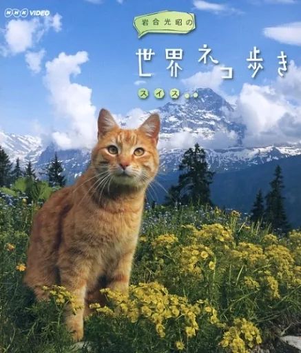 (未使用･未開封品)岩合光昭の世界ネコ歩き　沖縄　ブルーレイ Amazon.co.jp: 岩合光昭の世界ネコ歩き ブルーレイ全28巻セット