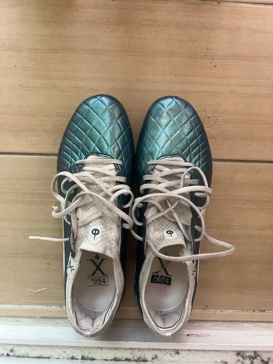 NIKE ナイキ ティエンポ レジェンド 10 250