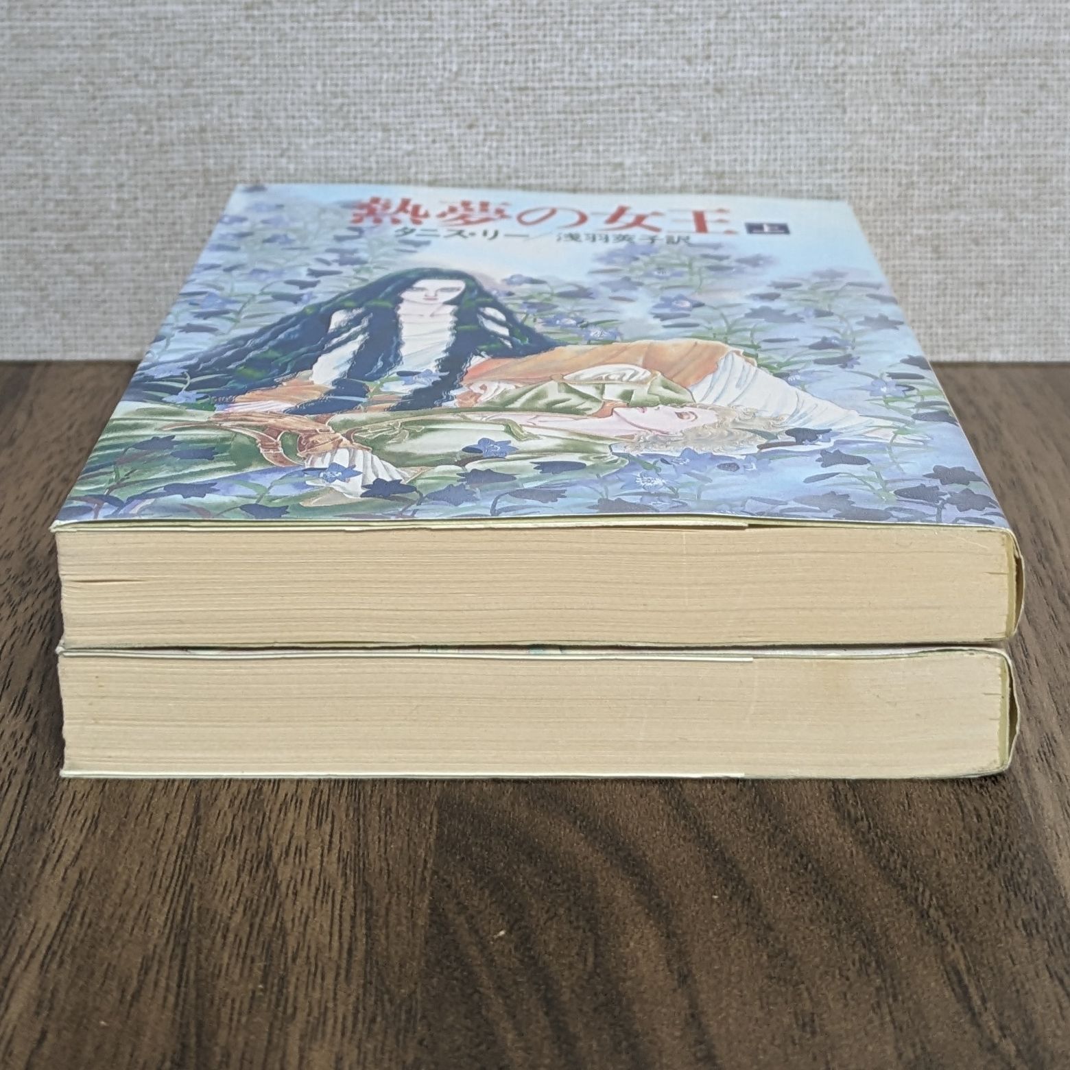 熱夢の女王〈上・下巻セット〉（2冊セット） - メルカリ