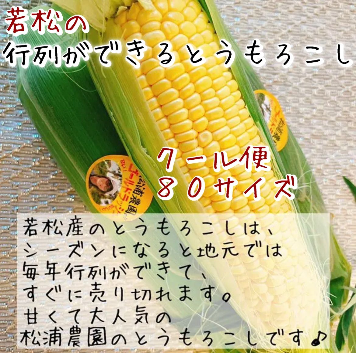 八百屋さん厳選】行列ができる若松のとうもろこし クール発送 5本入り