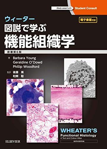 ウィーター 図説で学ぶ機能組織学 原著第6版 [単行本（ソフトカバー）] Geraldine O'Dowd、 Phillip Woodford、 Barbara Young、 後藤 薫; 和栗 聡
