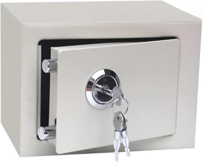 Sky Safe ダイヤル式金庫 耐火　金庫　スカイセーフ　家庭用　事務　店舗 Sky safe 耐火金庫 ダイヤル式耐火金庫 Sky Safe 値下げ】Sky Safe