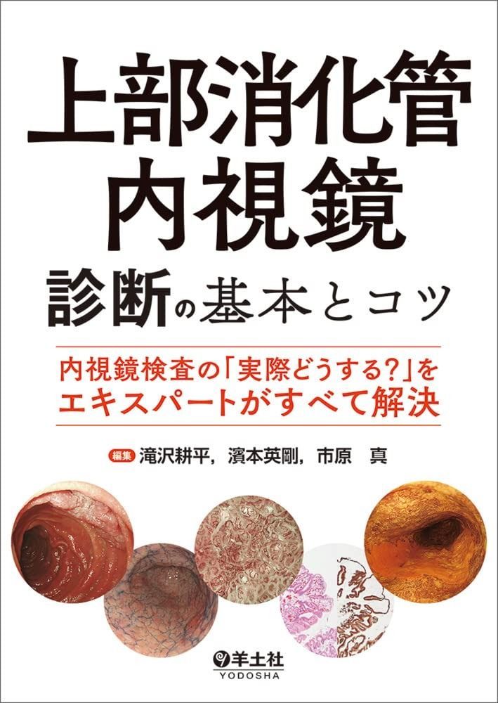 【中古】 春の巡礼 歌集/砂子屋書房/松浦禎子 新作入荷，品質保証 【中古】 春の巡礼 歌集 (地中海叢書 第854篇