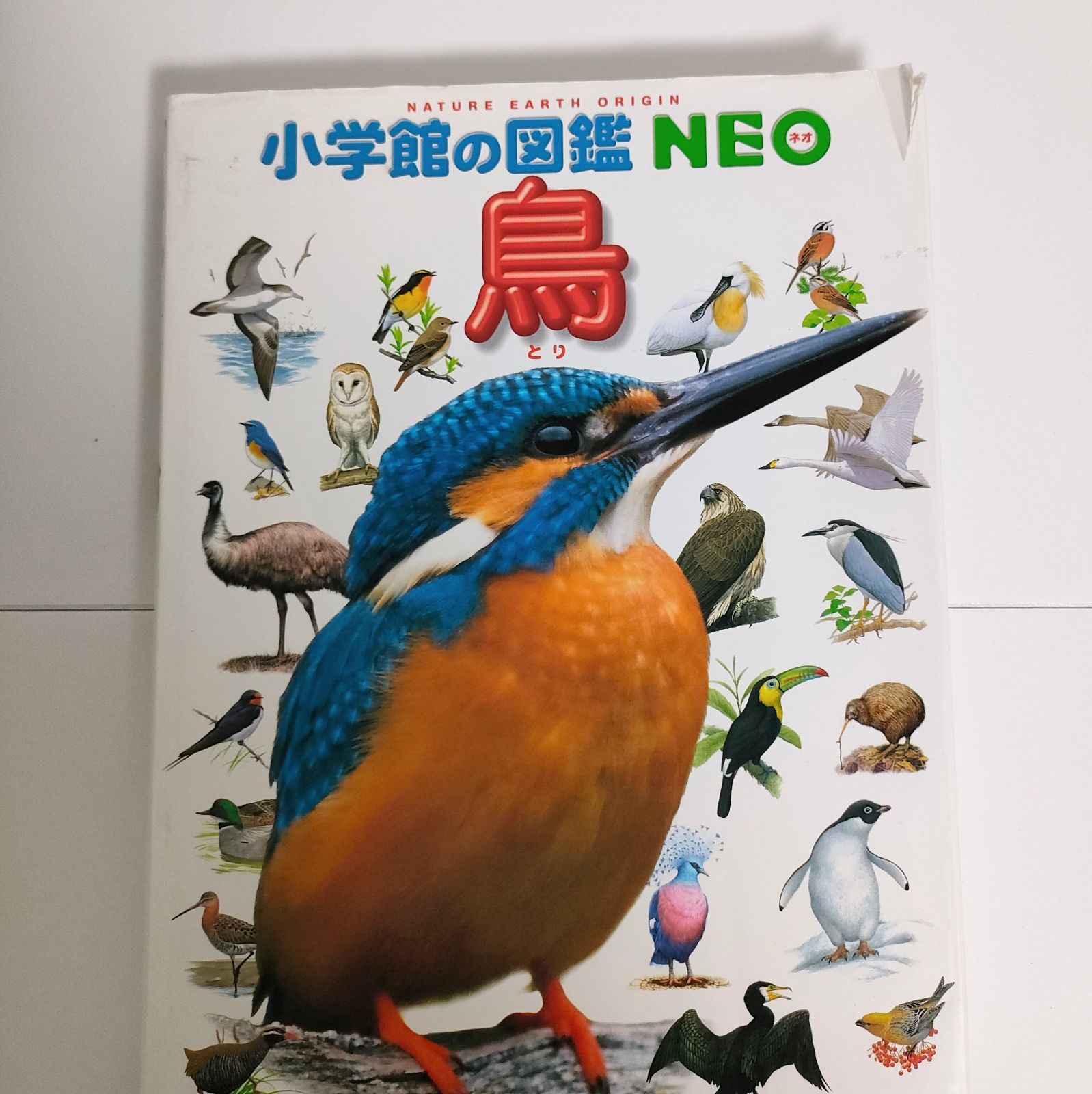 小学館図鑑NEO 16冊セット - メルカリ