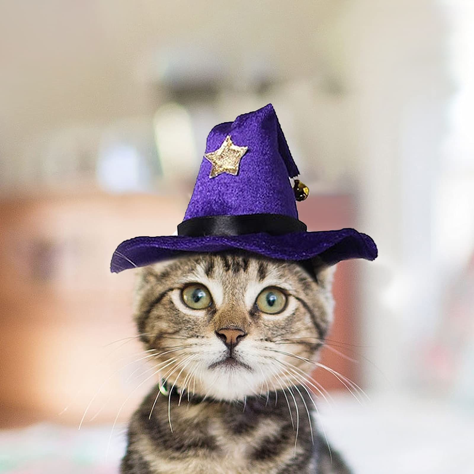 LESYPET 猫犬ハロウィーン飾り帽子、ペット用魔女の帽子鈴付き、ハロウィン、クリスマス、パーティー用仮装衣装