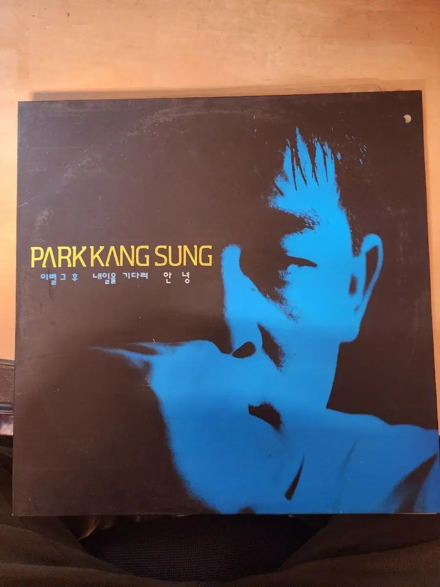 パク カンソン 1 家 LP 別れ それら WHO 明日 待って