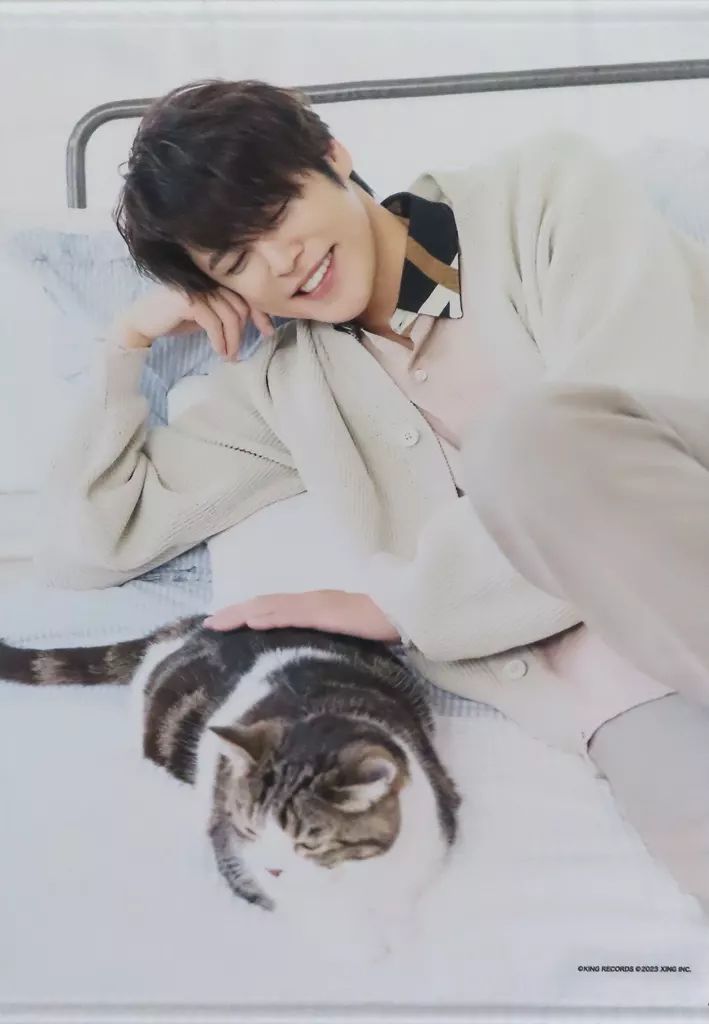 タペストリー 宮野真守(A ver.) B2タペストリー 「宮野真守×JOYSOUND