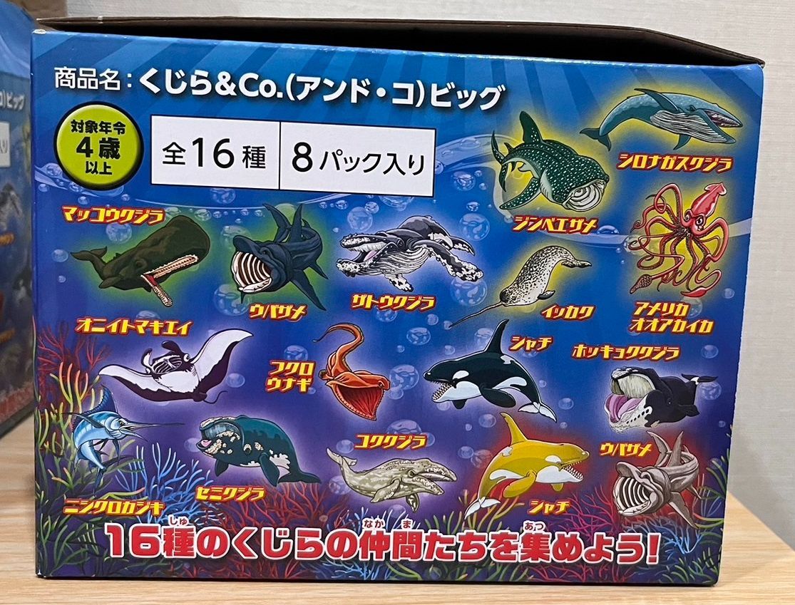 クジラアンドコー コンプリート コンプリートセット】くじら＆Co.ビッグ 全16種セット