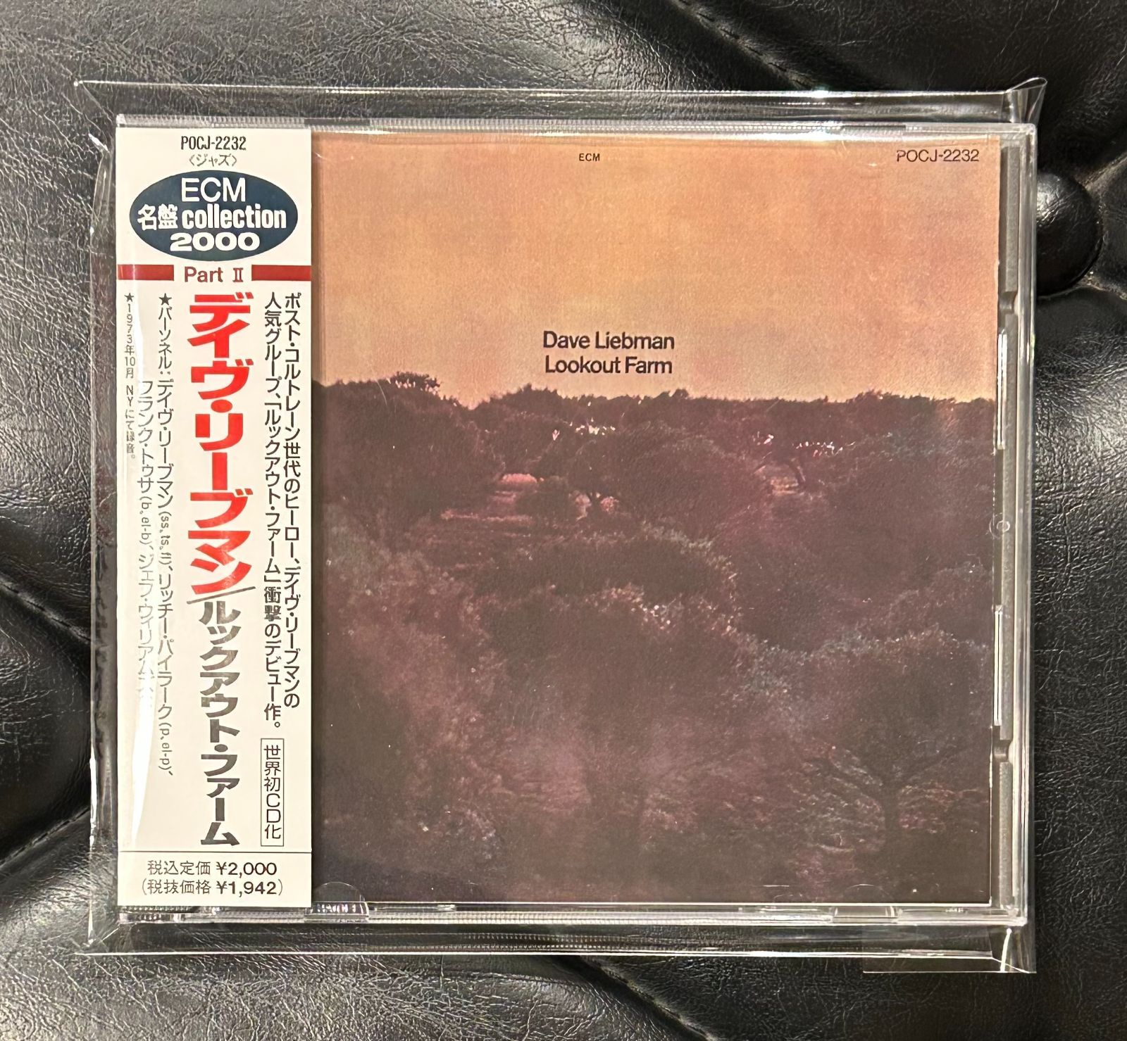 帯付きCD】デイヴ・リーブマン 「ルックアウト・ファーム」 Dave 