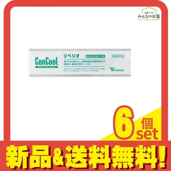 時代片口鉢 絵瀬戸 美濃 志野織部 御深井 懐石 酒器 白洲正子 秦 時代