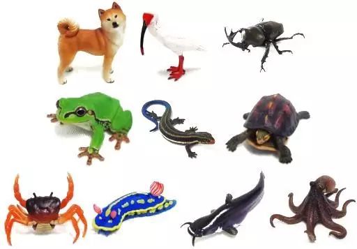 【】トレーディングフィギュア 全10種セット 「ネイチャーテクニカラー 日本のいきもの vol.02」