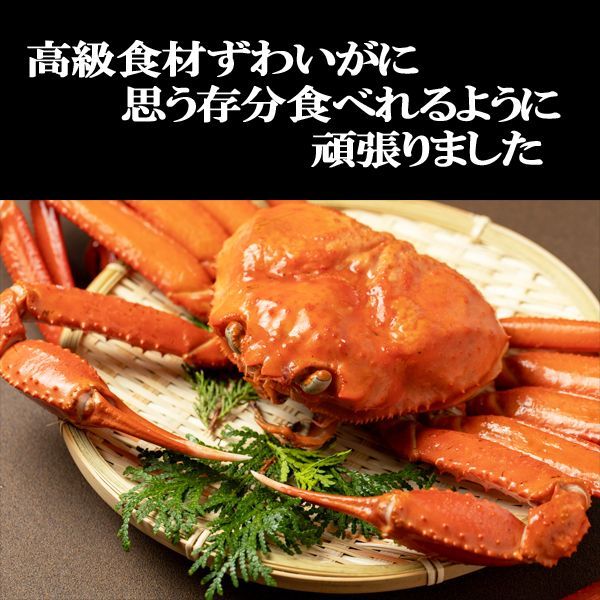 特大５L生ずわい蟹１kgハーフポーション!!刺身、焼き鍋OK生冷ズワイ驚異の価格