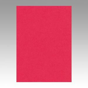 クーポン配布中-スーパー 対象 まとめ 色画用紙 文運堂 ニューカラーＲ 牡丹色 4NCR-325 4954022643256 1冊 ×5セット