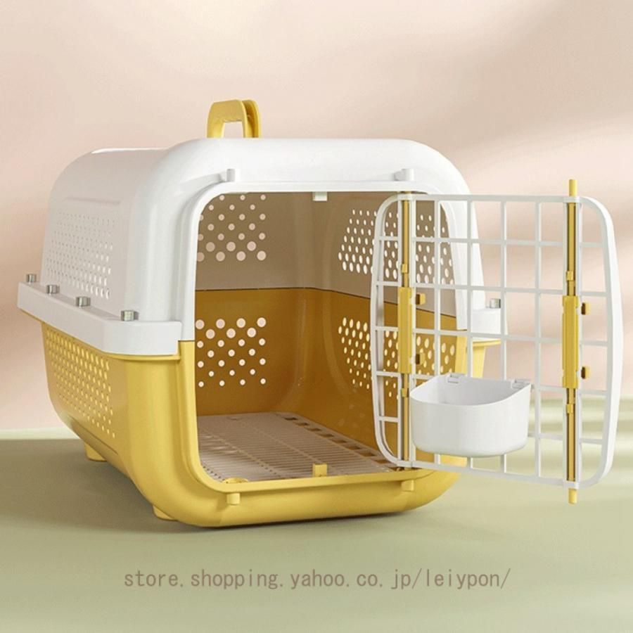 小型犬