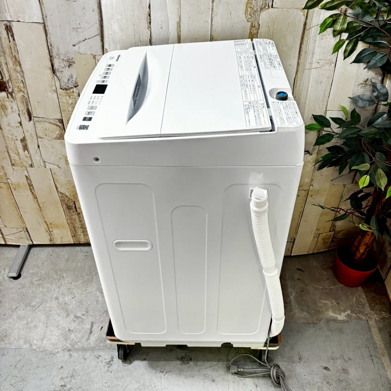 製 Hisense ハイセンス HW-55E4W 洗濯機 5.5kg