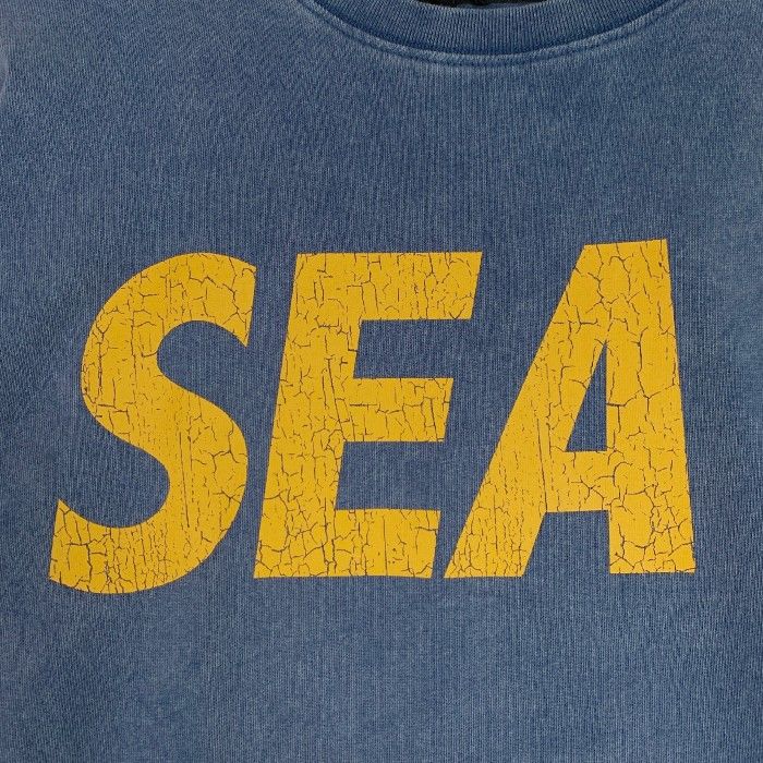 WIND AND SEA ウィンダンシー 23SS CRACK-P-DYE S/S Tee クラック