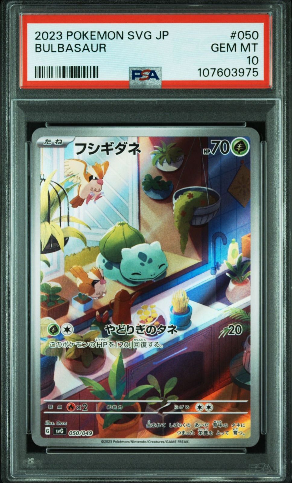 PSA10】 3連番 フシギダネ ヒトカゲ ゼニガメ AR スペシャル PSA10】 3連番 フシギダネ ヒトカゲ ゼニガメ AR スペシャル