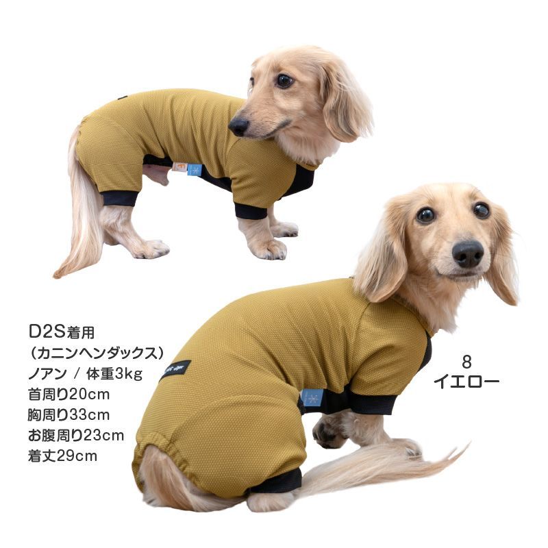 【新品】『D2Sサイズ』伸びて 着せやすい ドッグプレイ(R) 接触冷感 ストレッチ ハニカム ラッシュガード ダックス 小型犬用