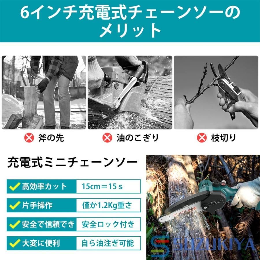 6インチ