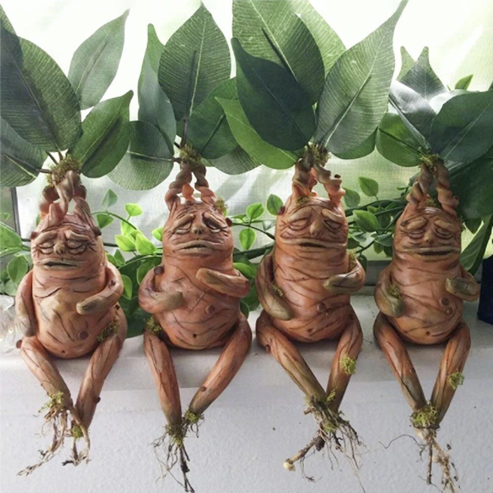 置物 マンドラゴラ 2個セット マンドレイク ホラー リアル 本格的 誕生日