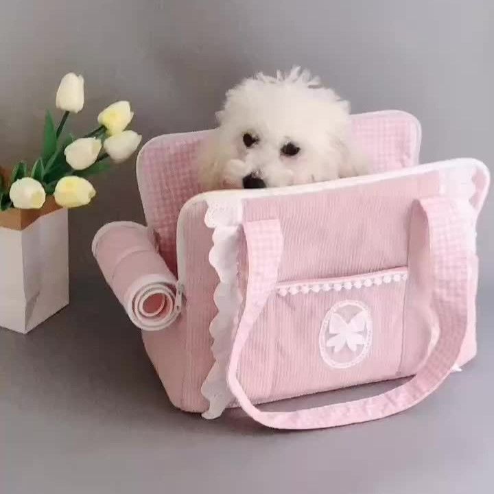 携帯用