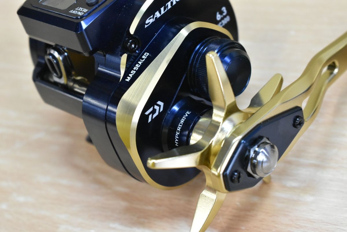 ダイワ DAIWA 21ソルティガ IC 300L SALTIGA