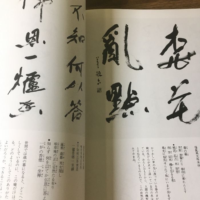 初版本 詩歌書例一〇〇選 (8) 二玄社 古谷 蒼韻 1999年初版 書道 書 墨