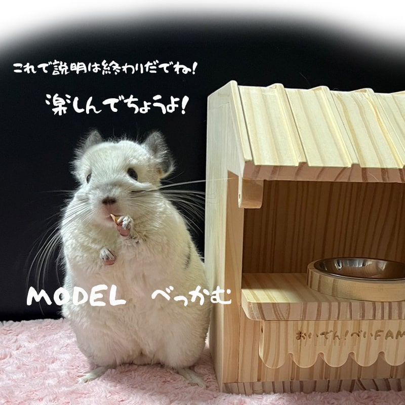 チェッピー様専用 チンチラ 飼育セット 7点 小動物（チンチラ