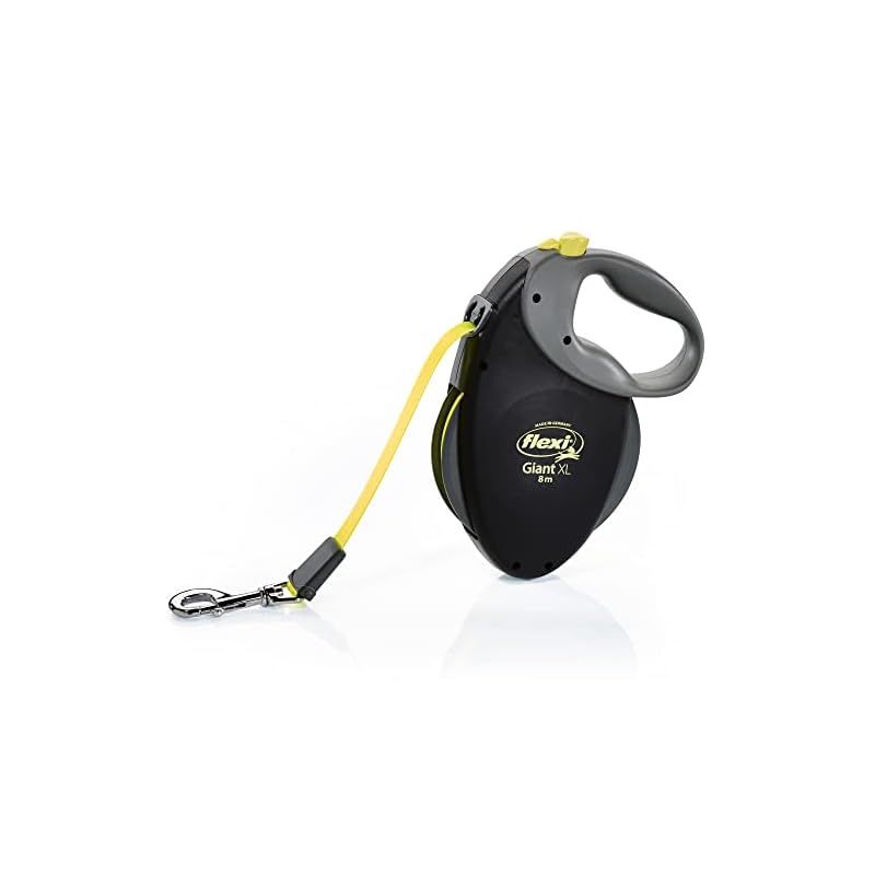 【特価❤︎美品】ティファニー　レザー リード ペットリーシュ ドッグ 犬 美品・特価✨ティファニー ブルー×シルバー レザー リード ペット