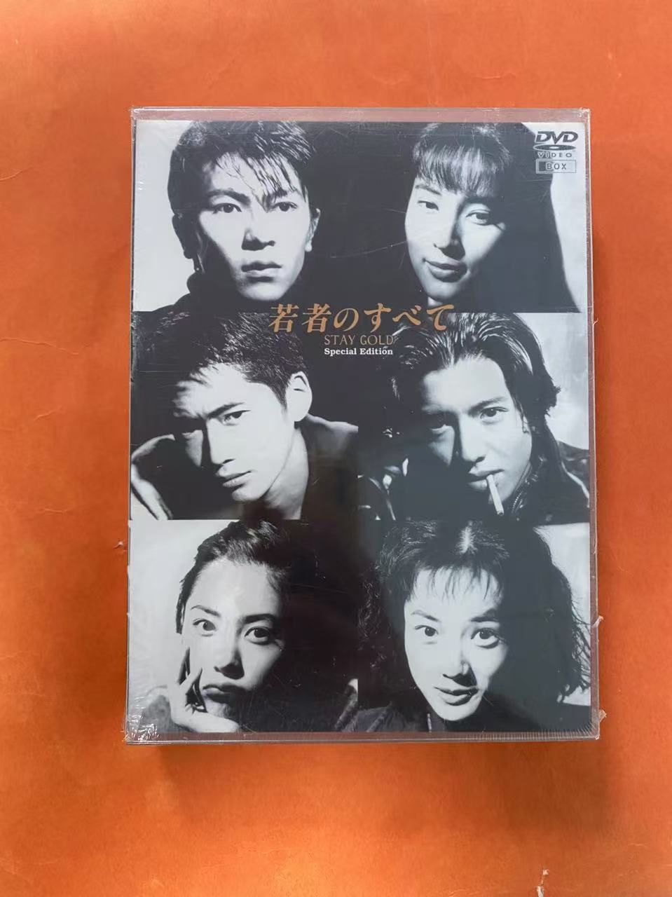 若者のすべて(1994) Special Edition 【全4巻】 DVD