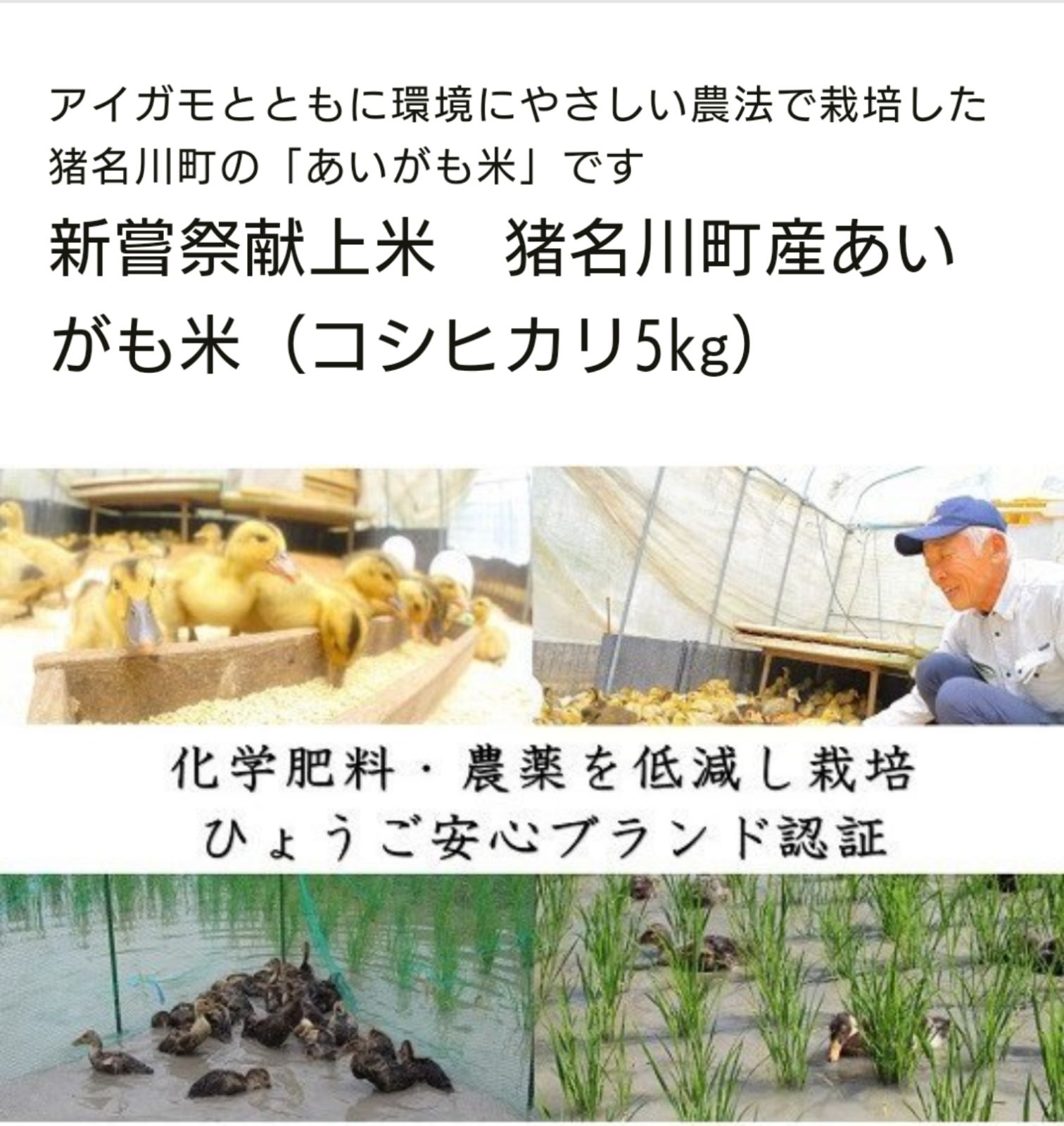 兵庫県猪名川町あいがも米コシヒカリ10kg(5kg×2袋)21年度新嘗祭献上米！