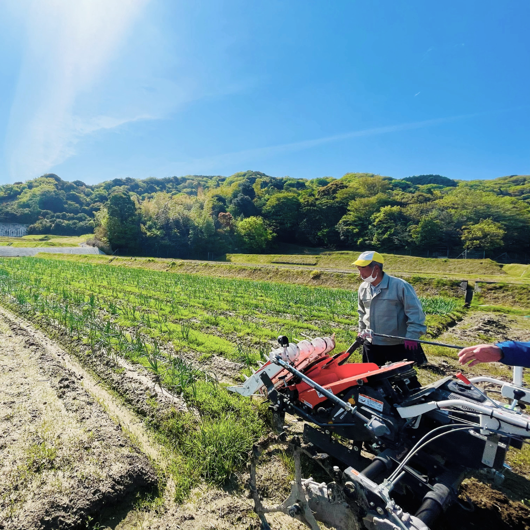 《玉ねぎの王様ターザン》淡路島玉ねぎ “いくたま” Lサイズ 5kg【兵庫県淡路島産】