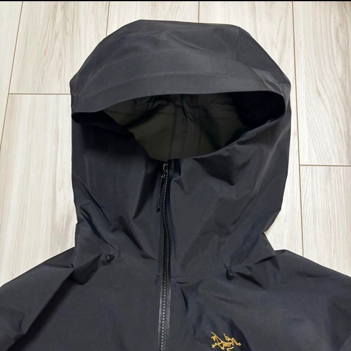 極美品 アークテリクス アルファSV メンズS 24kブラック ゴアテックス 