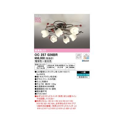 【新品・7営業日以内発送】オーデリック ODELIC OC257026BR ランプ別梱包【沖縄離島販売不可】