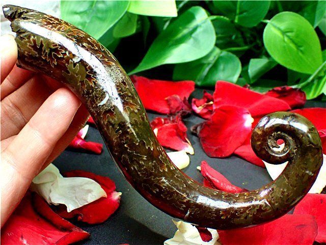 ★貴重－アンモナイト縫合線オパール化石標本B85U3/338U23A ☆貴重－アンモナイト縫合線オパール化石標本B85U3/338U22D