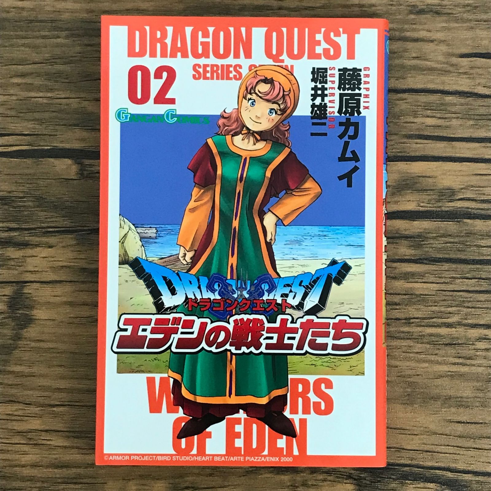ドラゴンクエスト エデンの戦士たち 01-14藤原カムイ ドラゴンクエスト エデンの戦士たち 01-14藤原カムイ Amazon.co