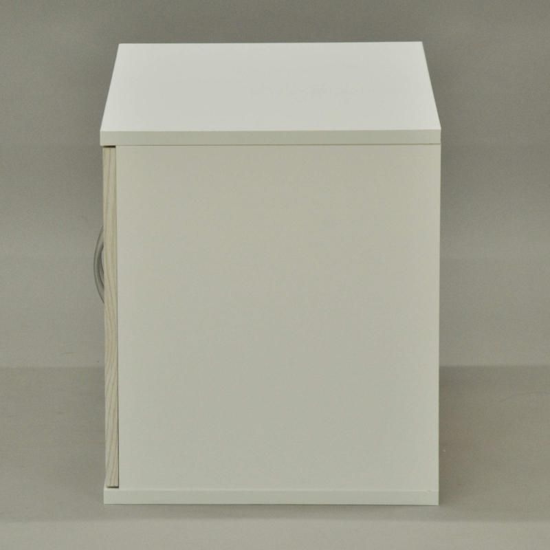 JNS-1
