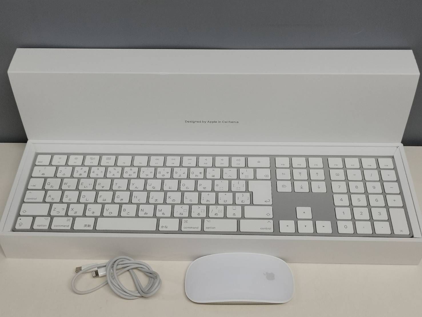 セール 未開封／MTG アリーナリーグ大会開催キット一式（フィフス