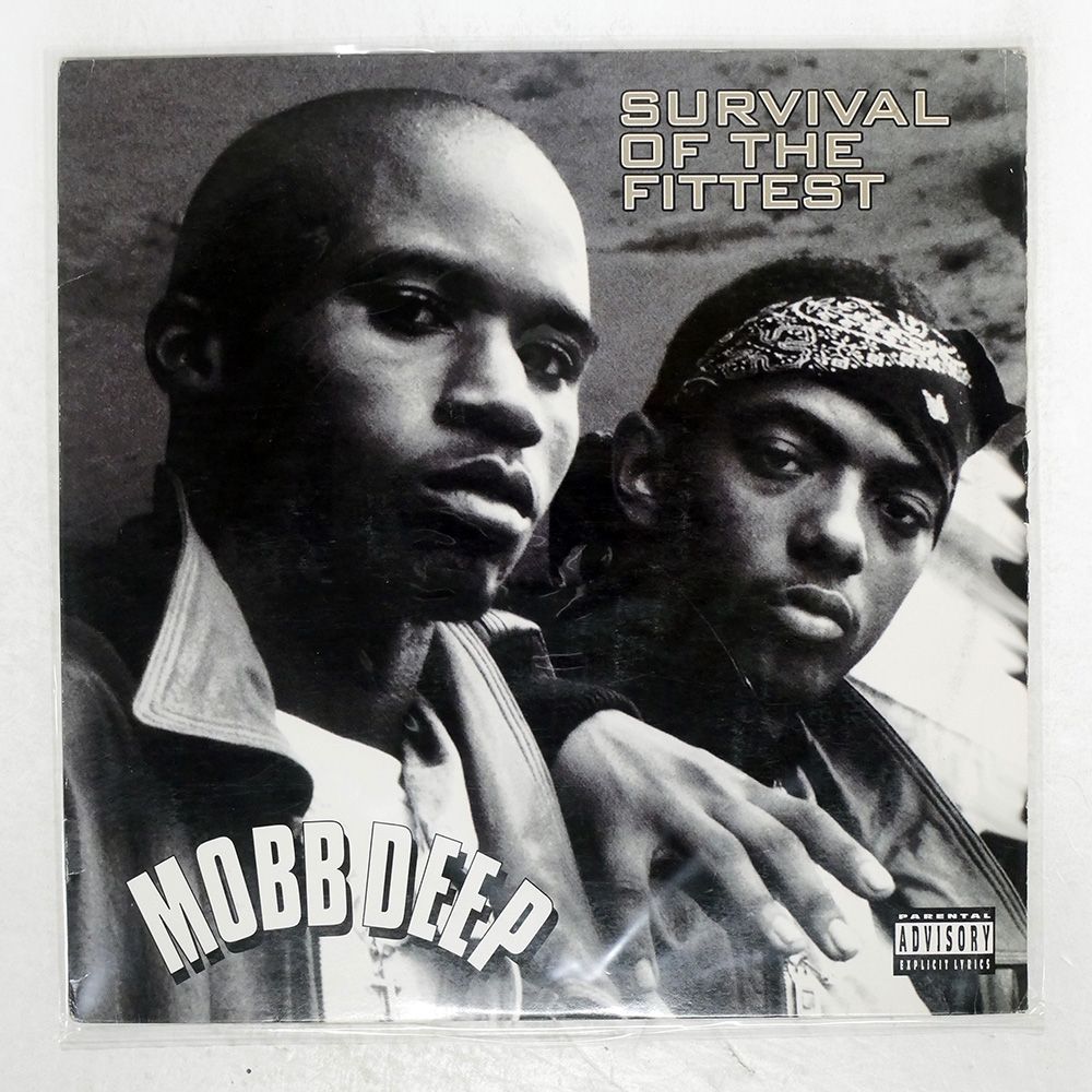 mobb deep レコード Mobb Deep Vinyl for sale | eBay