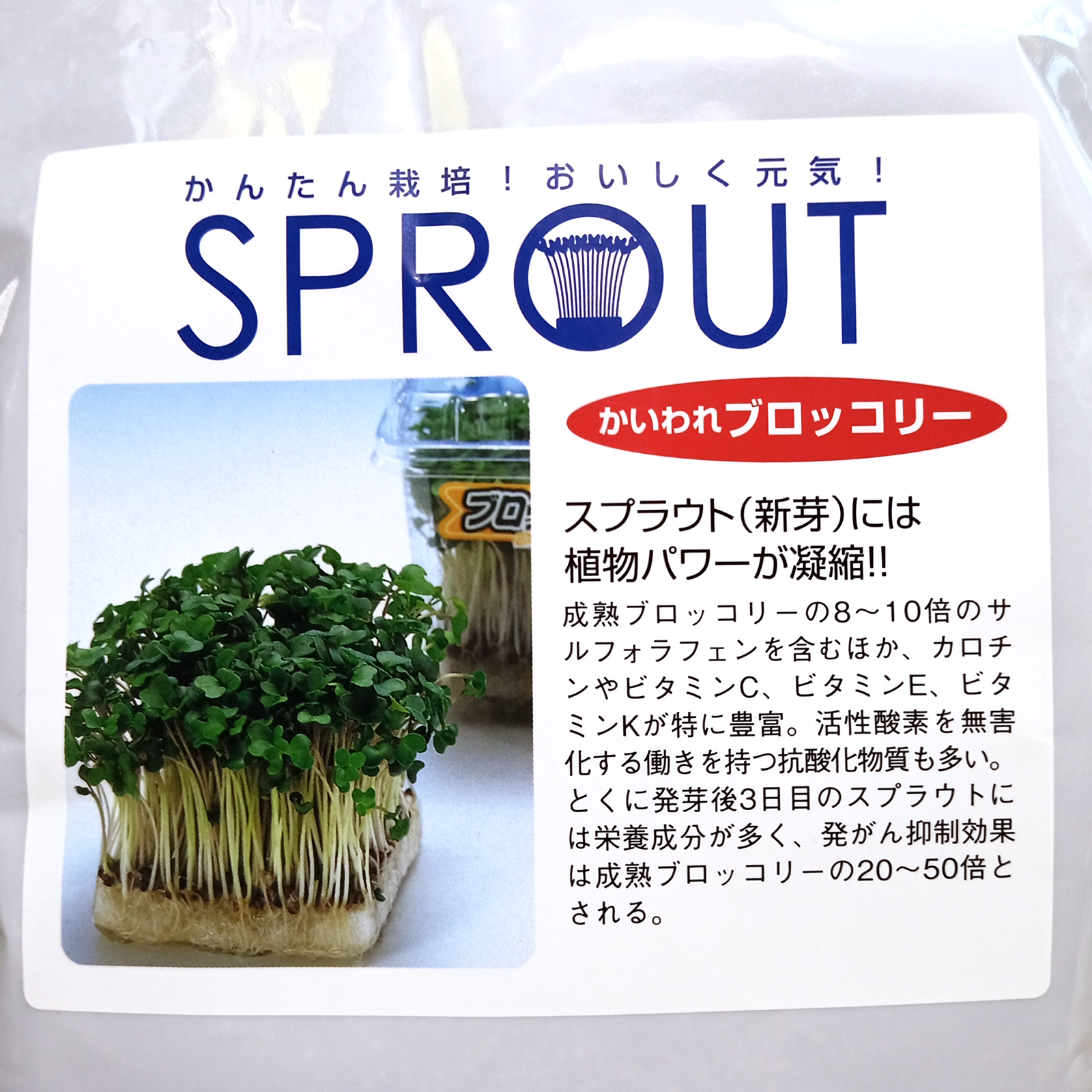 最新のデザイン スプラウト種子 S-01 かいわれブロッコリー 5ml