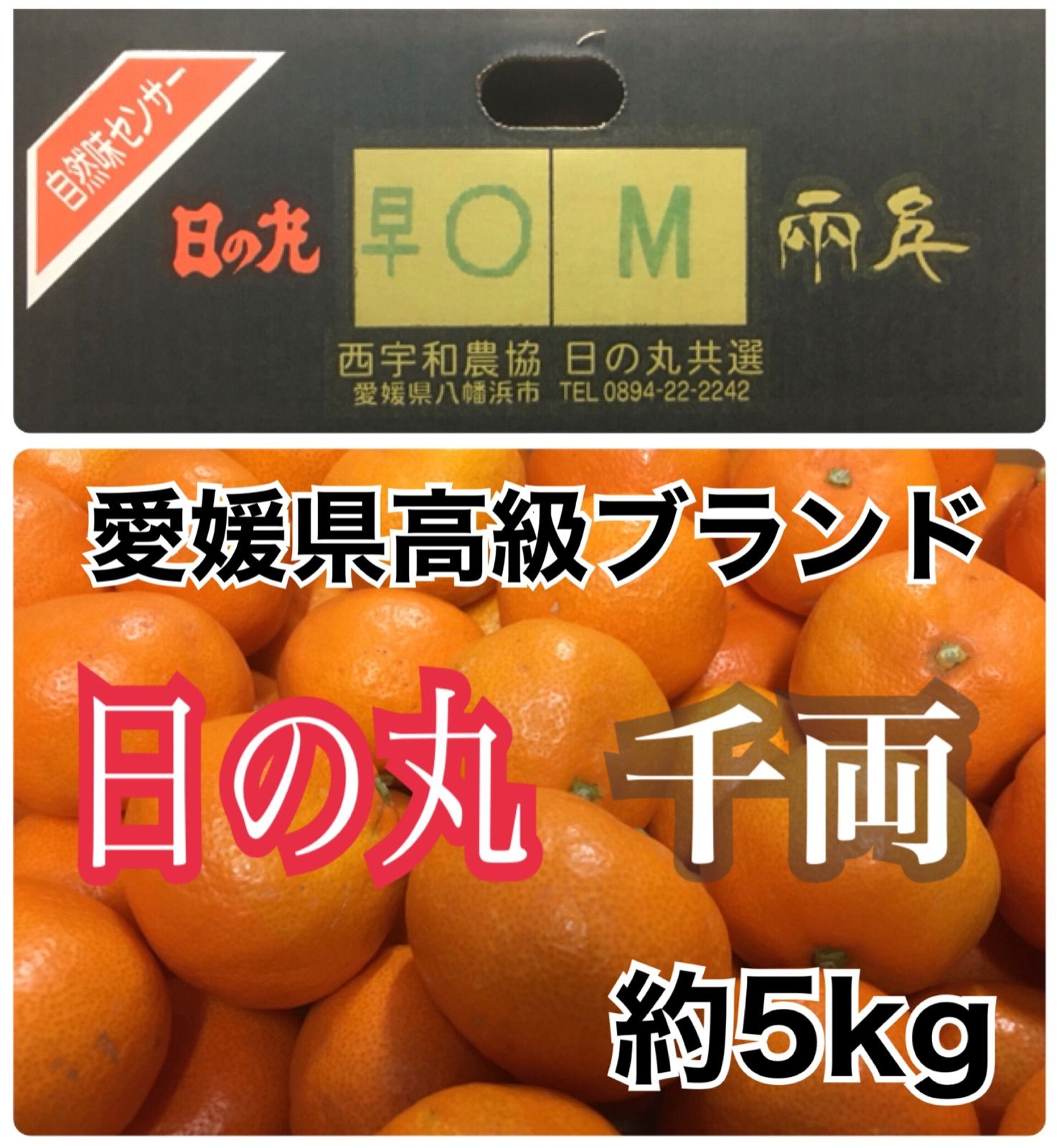 愛媛県産　日の丸みかん【千両】M　約5kg　メルカリ